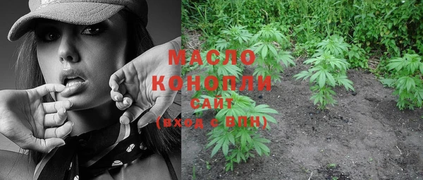 молекула духа Покров