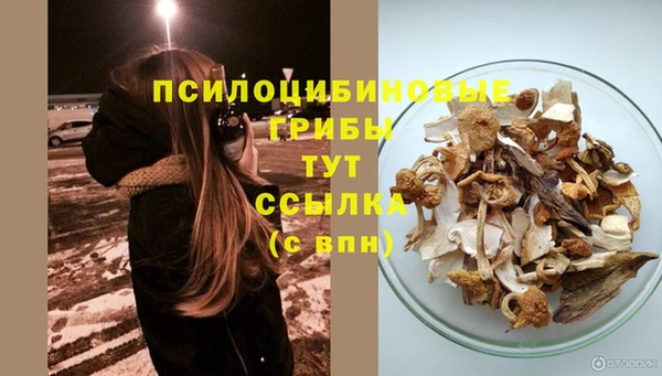 MESCALINE Покачи