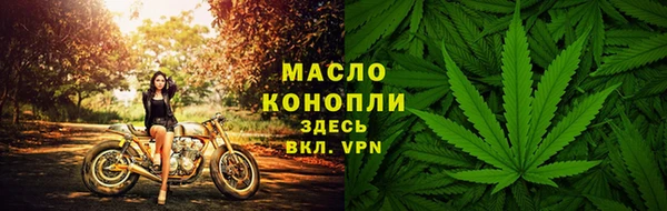 молекула духа Покров