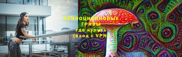 MESCALINE Покачи