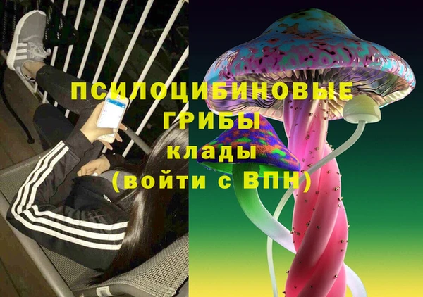 MESCALINE Покачи