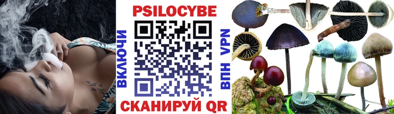 как найти закладки  Козловка  Псилоцибиновые грибы мухоморы 